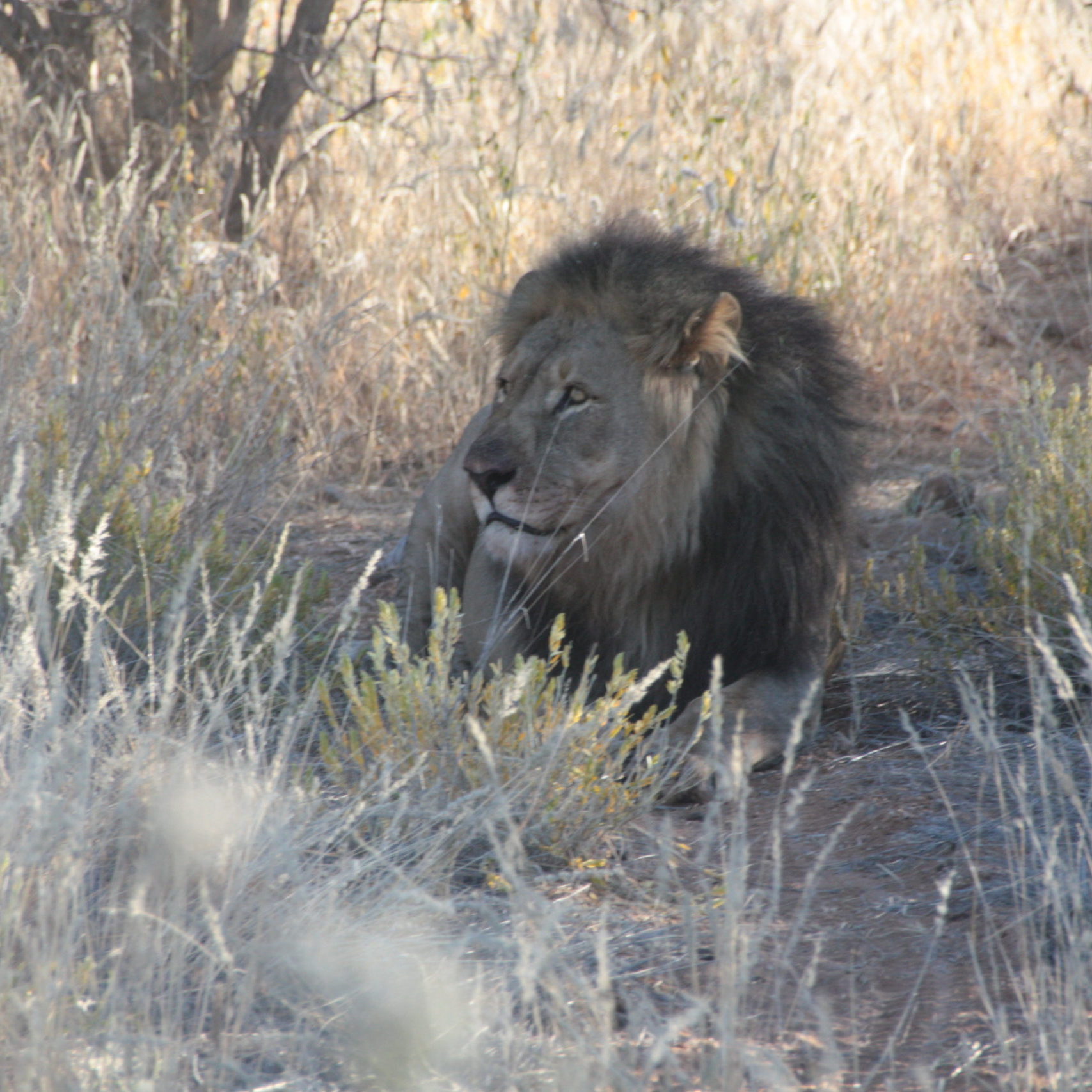mototurismo off road