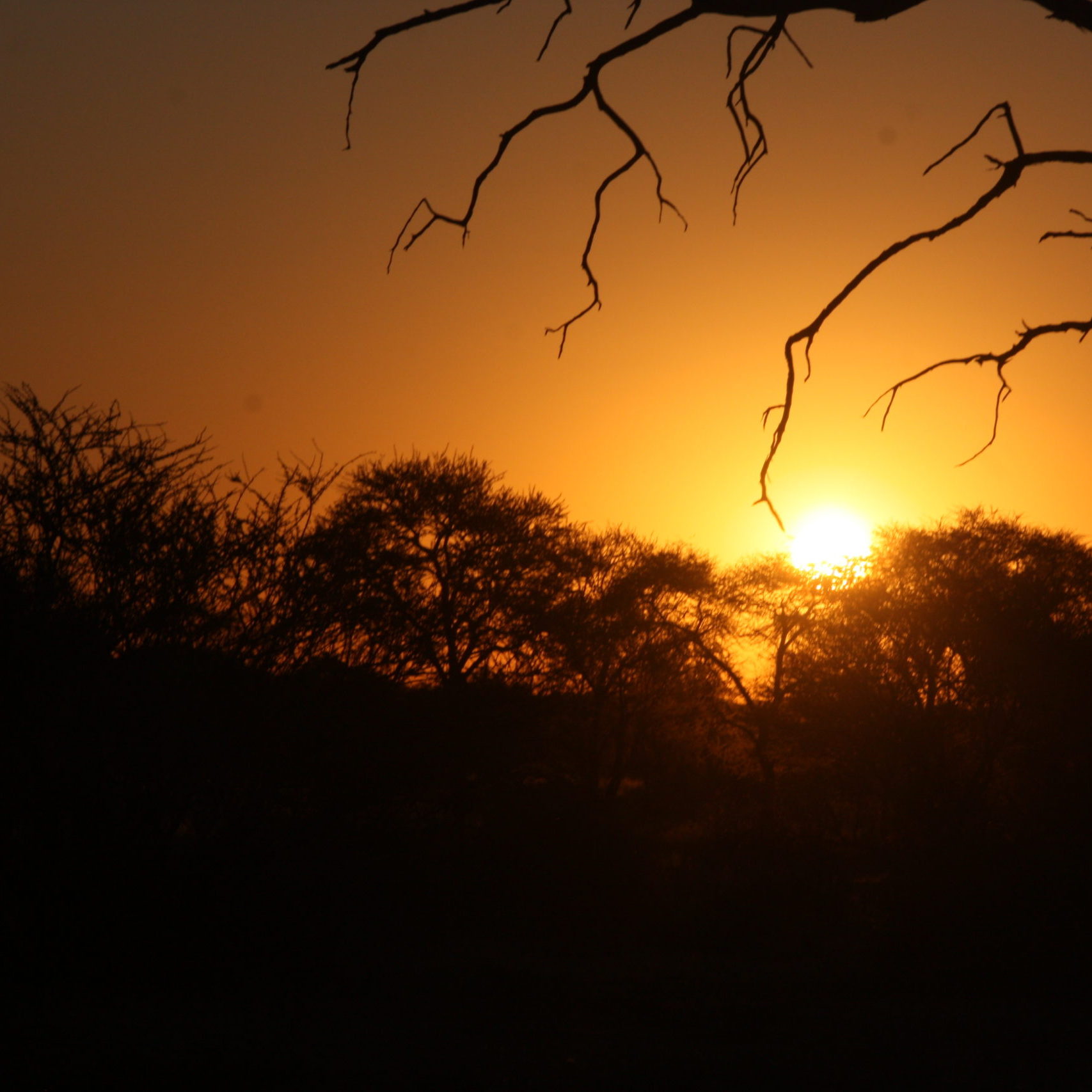 mototurismo off road